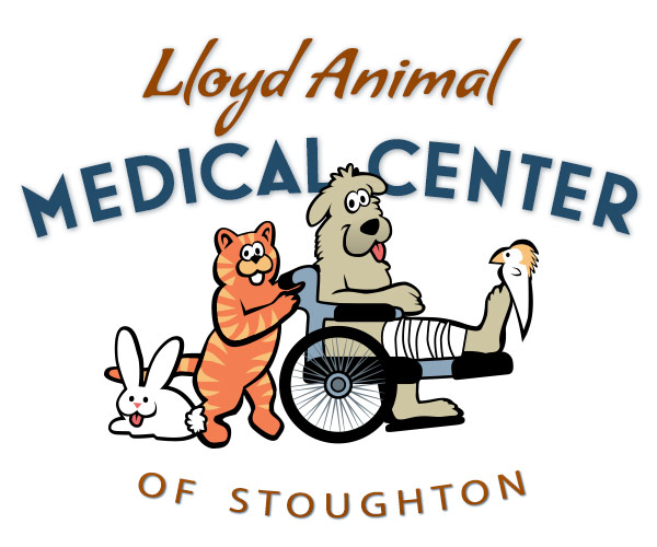 Lloyd Animal Medical Center